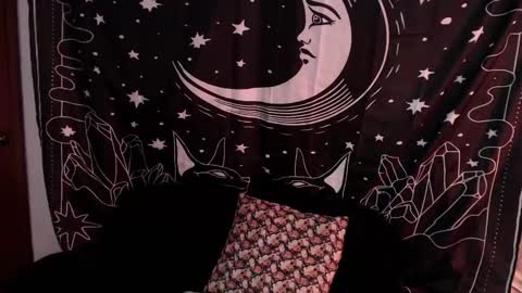    online show from January 7, 1:17 am