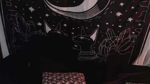    online show from January 8, 1:42 am