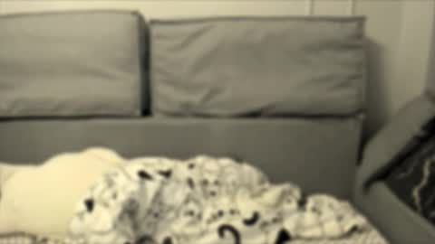 Isabella online show from September 20, 5:49 pm