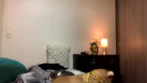 Snapshot of isabelprietoo chatting on October 10, 12:16 am Isa online show from October 10, 12:16 am