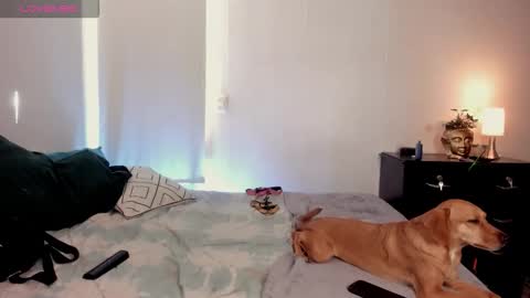 Isa online show from October 21, 3:48 pm