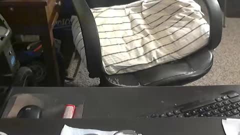 Duke online show from March 11, 1:52 am