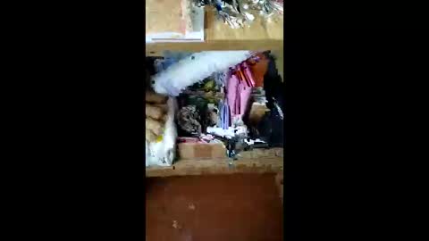 IsXLoves online show from April 7, 11:01 am