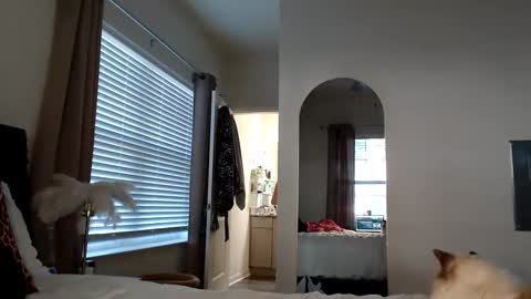 Snapshot of itsmealexisrae chatting on October 13, 12:40 pm Alexis Rae online show from October 13, 12:40 pm