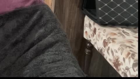 Raje online show from November 13, 5:43 am