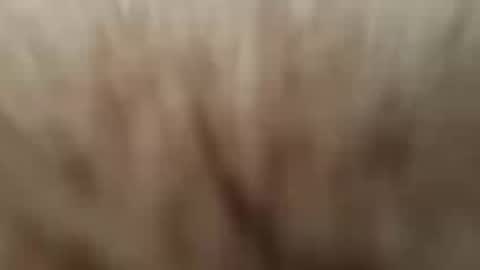 ittybittybay online show from September 9, 7:25 pm