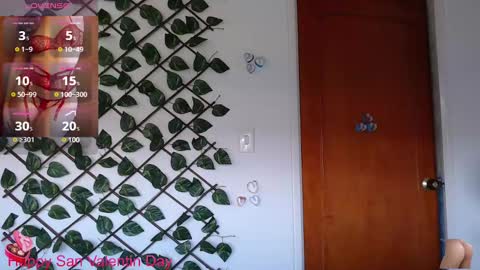 Snapshot of ivana_rose chatting on February 18, 7:52 pm Adris online show from February 18, 7:52 pm