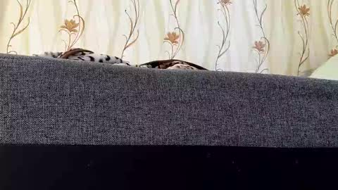 jaaaaanek2 online show from April 21, 6:53 am