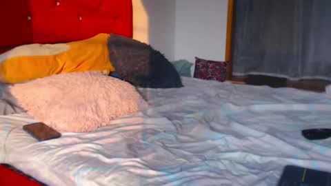 Laick online show from March 14, 10:14 pm