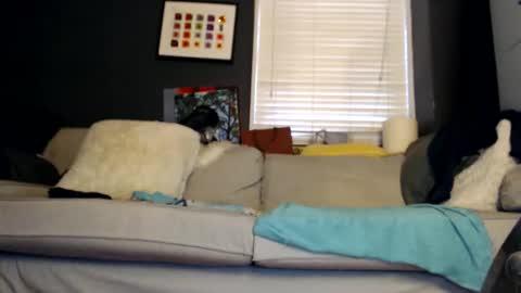 Snapshot of jackie_sugar chatting on October 31, 2:17 pm Jackie online show from October 31, 2:17 pm