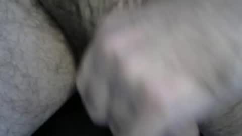 jackinboy1245 online show from December 1, 8:40 pm