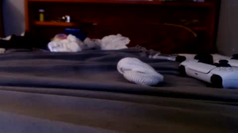 what you in too online show from September 20, 2:25 am