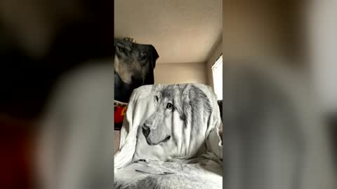 jameswolf777 online show from May 30, 6:28 pm