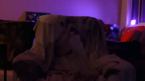 jameswolf777 online show from January 14, 8:22 am