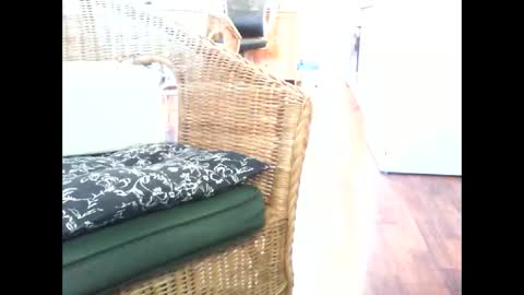 jani56 online show from November 1, 6:34 am