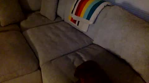 janicepepper online show from May 21, 8:54 am