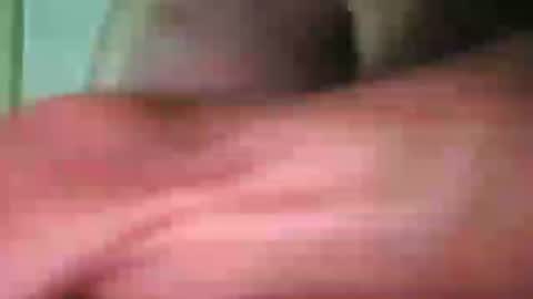 Felix Harnisch online show from July 2, 2:31 am