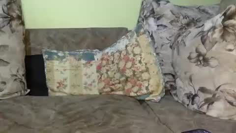 jasmine online show from November 15, 6:53 pm