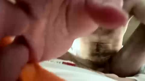 jayksmoker online show from October 11, 6:51 am