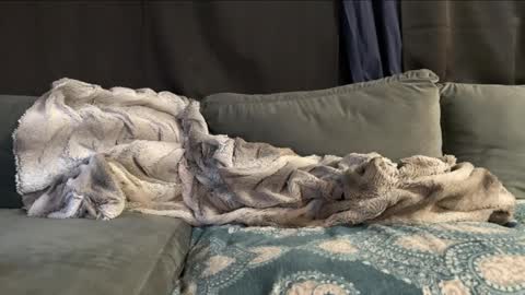 JcMax305 online show from March 13, 8:50 am