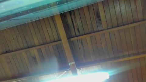 jeicob gagnon online show from September 15, 1:51 am