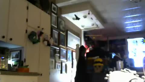 Jello9 online show from July 20, 1:24 pm