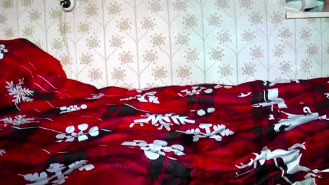 jellykulli online show from December 31, 9:31 am