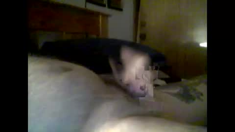 jerkmate6666 online show from October 27, 9:42 am