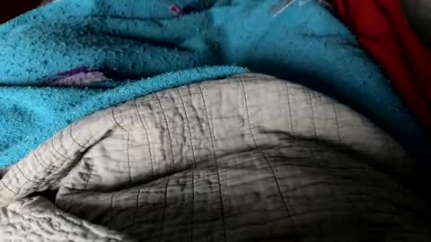 Jeremys room chill and puff one enjoy online show from December 25, 2:34 pm