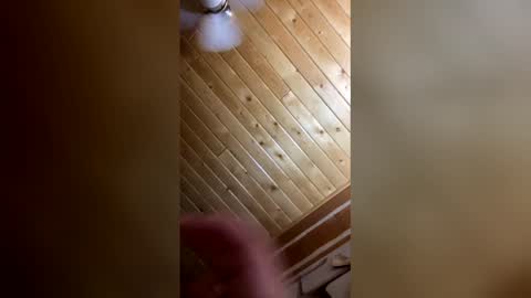 jessicajames0101 online show from May 29, 10:57 am