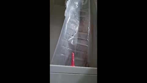 jgsanchez7781 online show from February 17, 10:20 pm