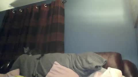 jilfyj online show from March 15, 12:48 am