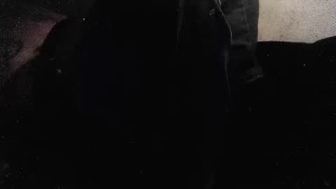 jjohnathan529 online show from January 26, 3:58 pm