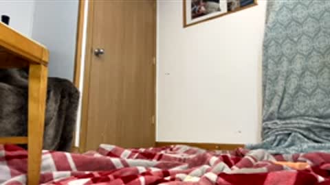 Bubble Butt Bae online show from February 25, 3:48 pm