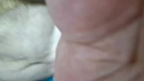Jessme0024 online show from June 15, 11:41 pm