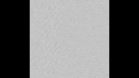 JLKTNZ online show from December 1, 8:45 am