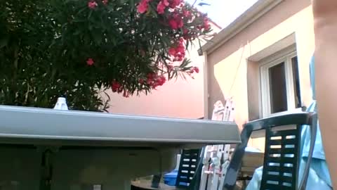 jobarstring online show from June 26, 2:44 pm