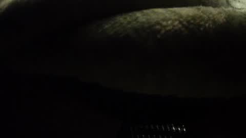 joeystr0ker online show from April 16, 11:18 pm