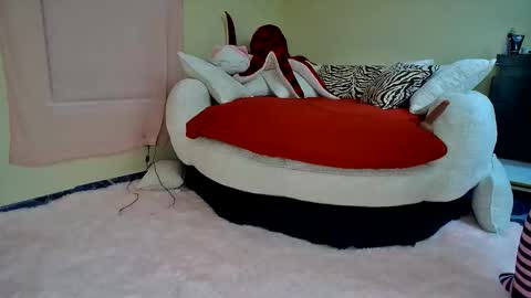 Harper online show from January 7, 8:41 am