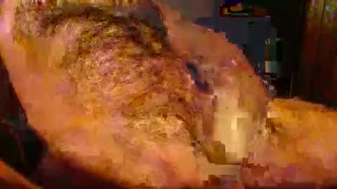 jolieeeeh online show from November 24, 6:39 pm