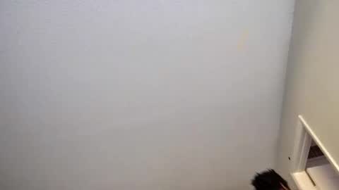 joosemann online show from January 26, 8:13 pm