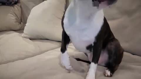 jtl12 online show from April 10, 7:18 pm