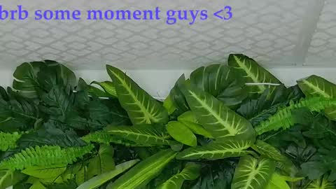 Snapshot of juanilittle chatting on October 16, 7:46 pm juani online show from October 16, 7:46 pm