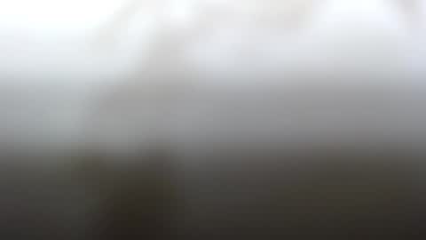 Dave online show from February 4, 2:21 pm