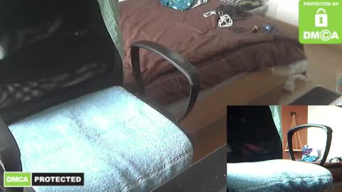 Tonio online show from November 28, 12:01 pm