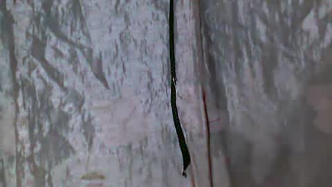 Kaiirah online show from January 14, 3:22 am