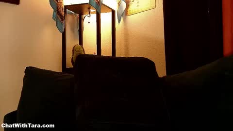Snapshot of kalikushdreamz chatting on October 8, 2:23 pm Tara Smith online show from October 8, 2:23 pm