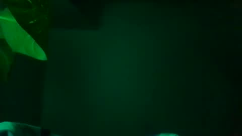 Karla Gonzaless online show from November 13, 7:33 am