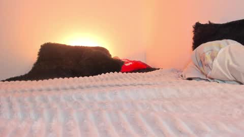 Katha online show from October 23, 1:07 am