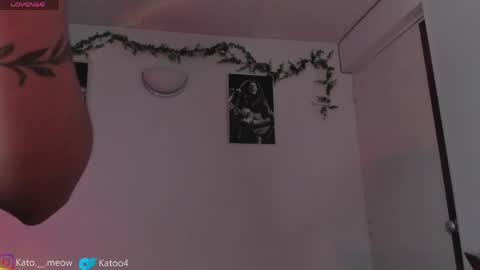 Kato online show from April 24, 4:47 am